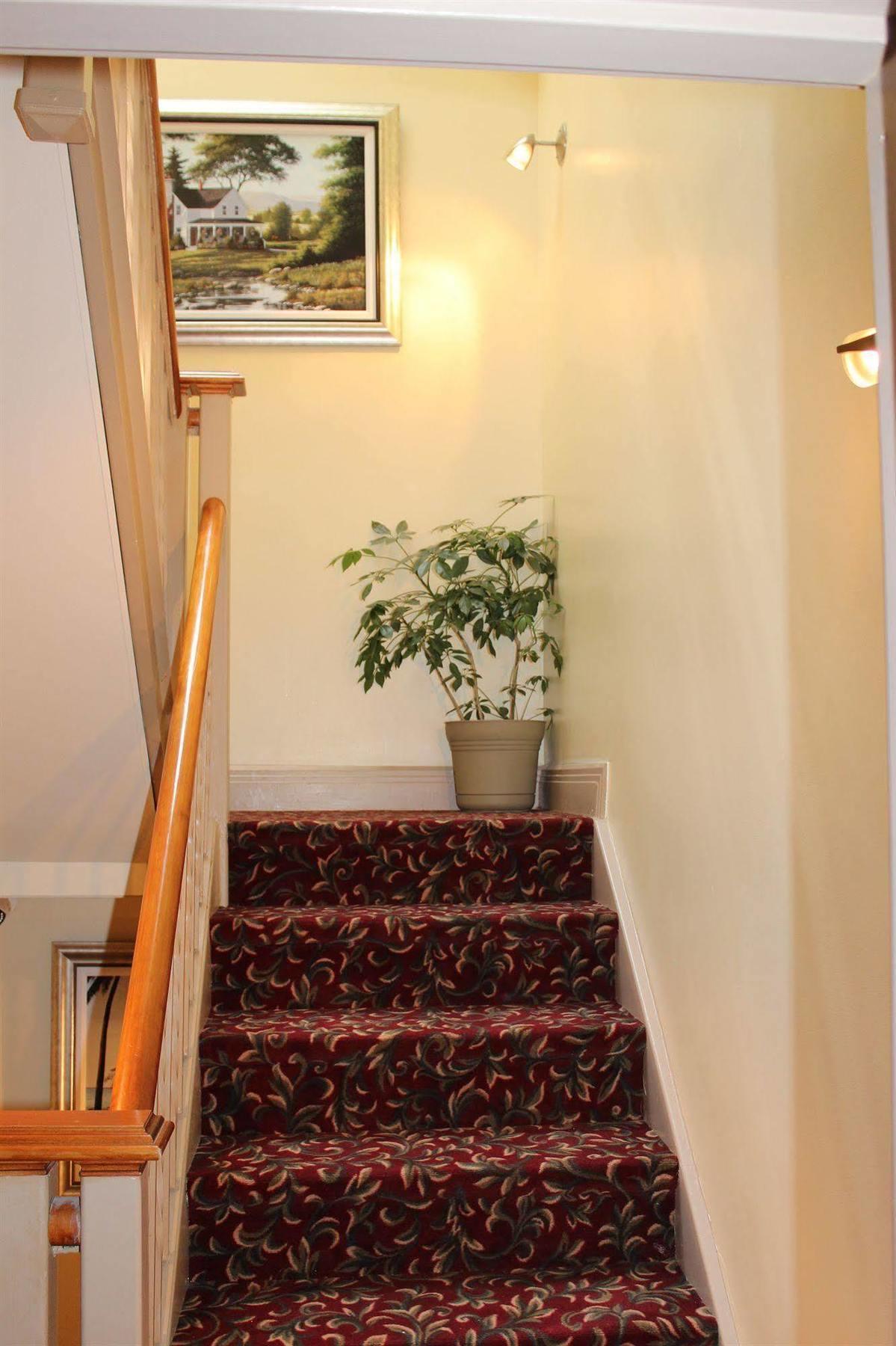 Le Saint-Malo Hotel مونتريال المظهر الخارجي الصورة