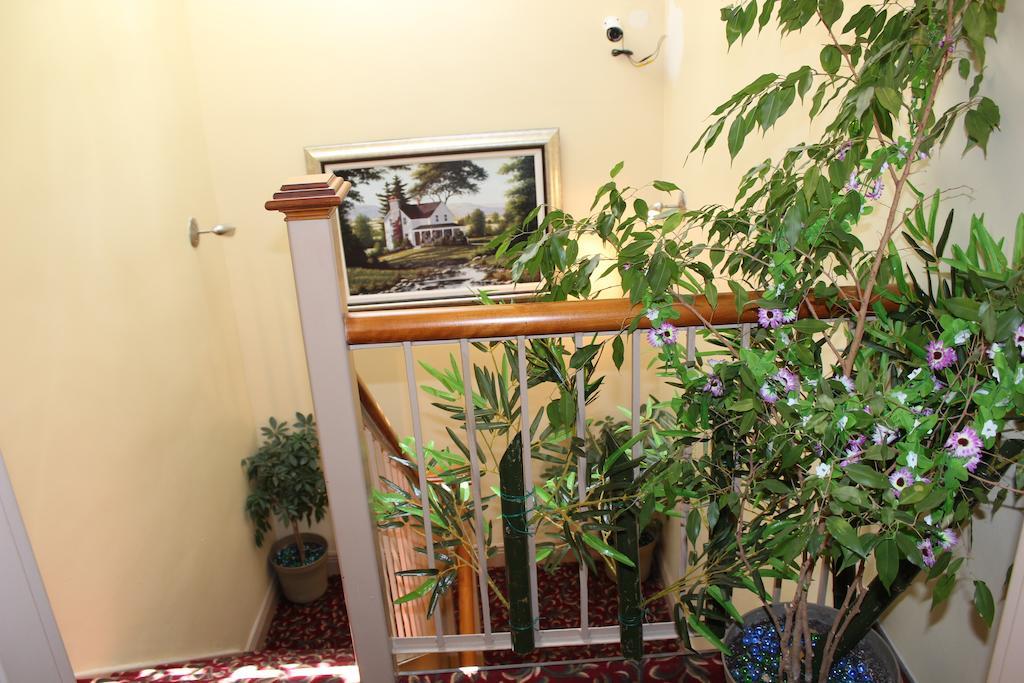 Le Saint-Malo Hotel مونتريال المظهر الخارجي الصورة